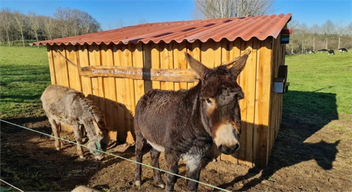 Remanso de Trasfontao Casa do Campo 