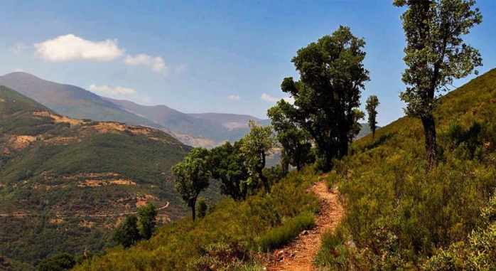 Las Médulas