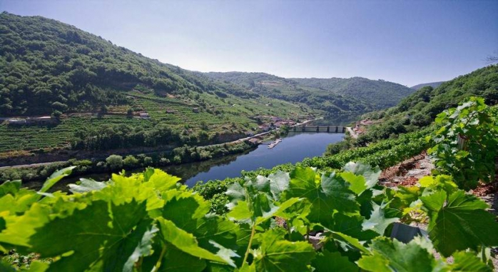 Casa do Agro Ribeira Sacra