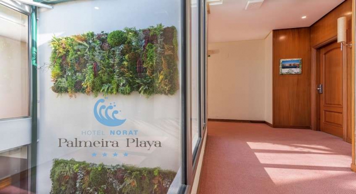 Hotel Norat Palmeira Playa - Ribeira