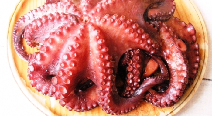 Rectoral de Castillon Ribeira Sacra